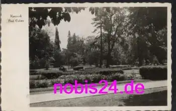 31707 Bad Eilsen Kurparkanlagen o 9.12.1953