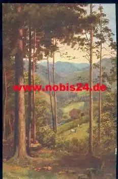 Schwarzwaldserie II Blatt 1 Durchblick Künstlerkarte H. Hoffmann *ca. 1910