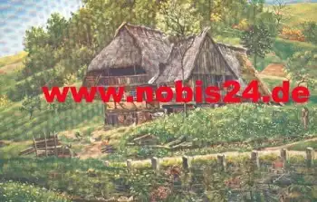 H. Hoffmann Schwarzwaldhäuser Serie III  an der Landstrasse Künstlerkarte *ca. 1910