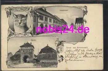 97334 Katzenkopf Maintor Katze Strasse o 1912