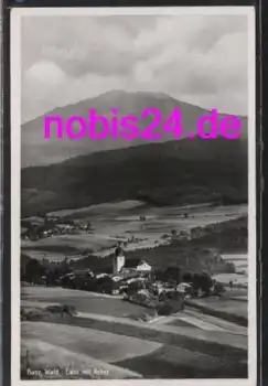 93462  Lam mit Arber *ca.1935