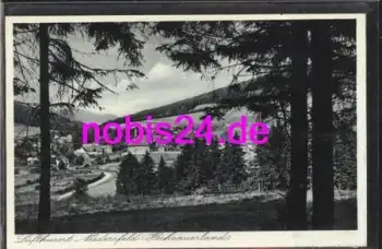 59955 Niedersfeld vom Wald *ca.1920