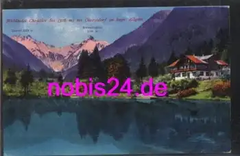 87561 Oberstdorf Waldhotel Christles See *ca.1920