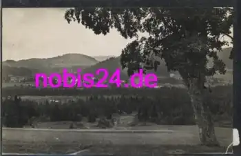 79856 Hinterzarten  *ca.1940