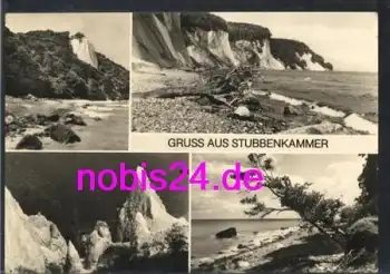 18454 Stubbenkammer unberührte Natur o 17.8.1981