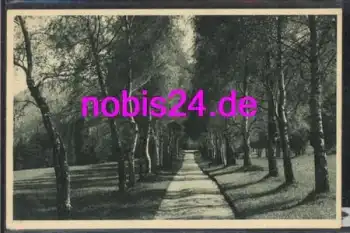 82433 Bad Kohlgrub Parkallee *ca.1930