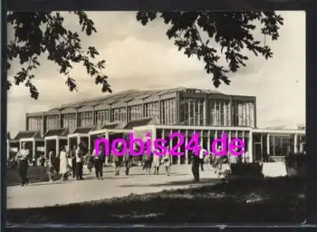 Berlin Tierpark Alfred Brehm Haus *ca.1965