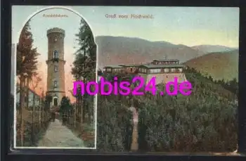 02763 Hochwald Gasthaus Turm  *ca. 1920