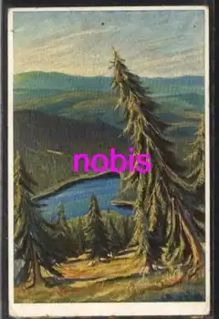 94252 Bayrischer Wald Arbersee Künstlerkarte *ca.1920