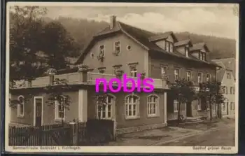 95460 Goldmühl Gasthof grüner Baum *ca.1920