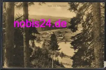 79859 Schluchsee *ca.1920