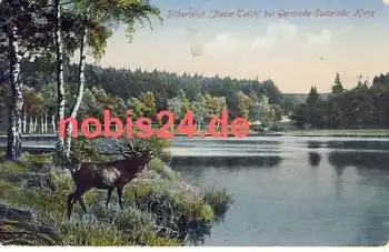 06507 Gernrode Harz Silberteich Hirsch o 31.8.1949