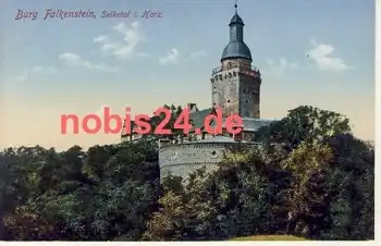 06543 Burk Falkenstein Selketal *ca.1915