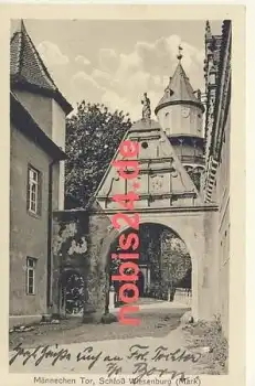 14827 Wiesenburg Schloss Männechen Tor  *ca.1920