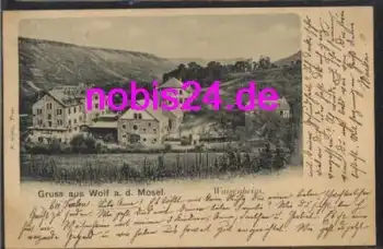56841 Wolf an der Mosel Waisenheim o 27.3.1907