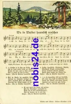 Anton Günther "Wu de Walder.."   Liedkarte Nr. 8981 *ca.1940