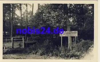 16816 Ruppiner Schweiz Waldschänke *ca.1958