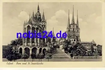 Erfurt Dom St. Severikirche o 1954