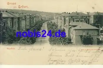 Erfurt Steiger Strasse o ca.1900