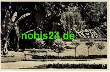 02763 Zittau Blumenuhr Palmenhain o 23.8.1934