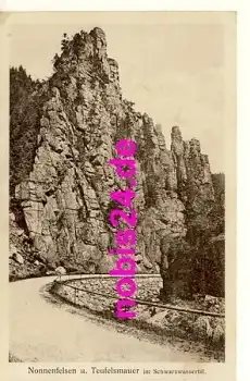 09517 Zöblitz Nonnenfelsen Teufelsmauer *ca.1920