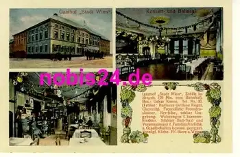 09517 Zöblitz Gasthof "Stadt Wien" *ca.1920