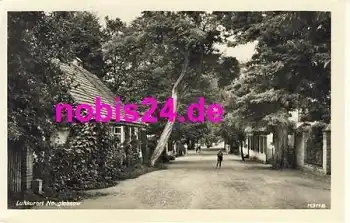 16775 Neuglobsow Strasse o ca.1956