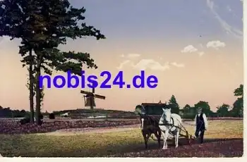 29614 Lüneburger Heide Windmühle *ca.1920