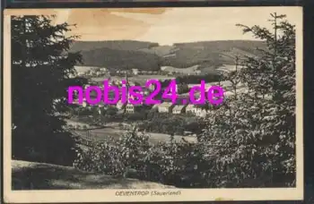 59755 Oeventrop Sauerland Ansichtskarte *ca.1925