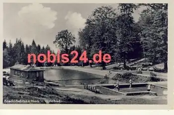 06507 Friedrichsbrunn Harz Waldbad *ca.1954