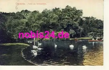 Chemnitz Schlossteich Schwäne o 5.3.1908