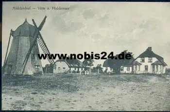 18565 Vitte Hiddensee Mühlenhof Windmühle *ca. 1920