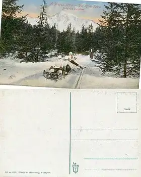 Bobfahrer im 6er Bob Hohe Tatra *ca. 1910