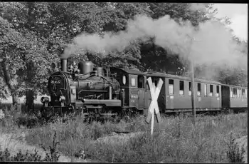 Rügen Schmalspurbahn  * ca. 1960  (Lokschild 994632)