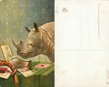 Nashorn Serienkarte 451 *ca.1920
