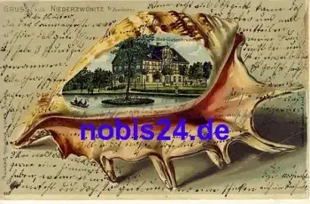 08297 Niederzwönitz Muschel Litho o 1903