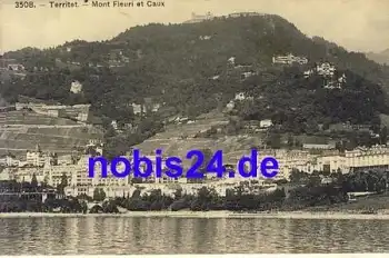 Territet Mont Fleuri et Caux *ca.1910