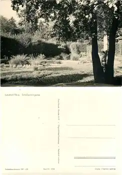 Pillnitz Dresden Schlosspark Irrgarten *1960 Hanich1254