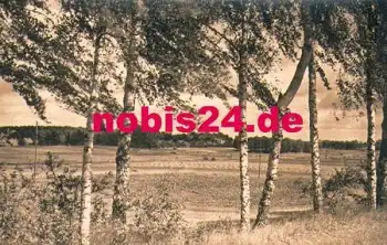 16831 Kleinzerlang *1962 Hanich0233