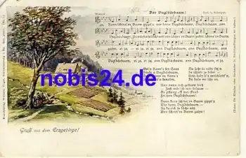 Der Vuglbärbaam..  Liedkarte verlag Vogel *ca.1920