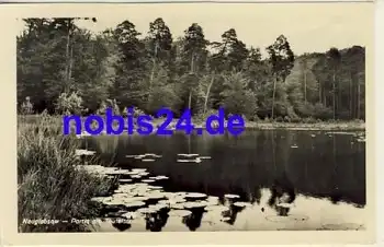 16775 Neuglobsow Teufelsee o 1950