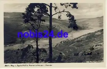 65385 Assmannshausen *ca.1929