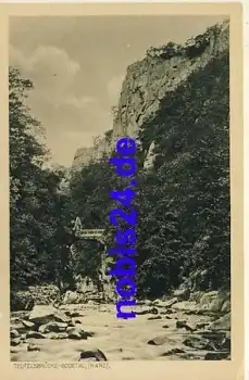 06502 Thale Teufelsbrücke *ca.1930