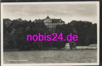 78465 Insel Mainau Bodensee *ca.1955