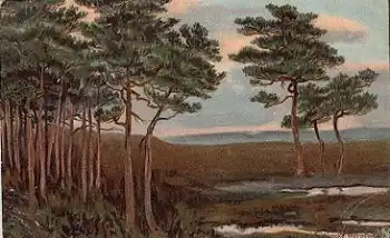 27726 Worpswede Künstlerkarte S. Wencke Landschaft o 3.11.1908