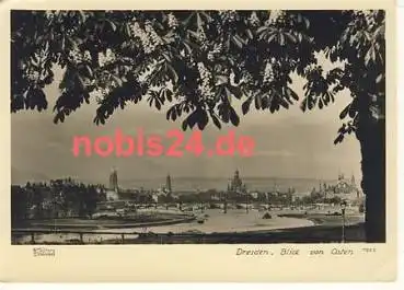Dresden Ostblick o 6.12.1956 Hahn-Foto 7922