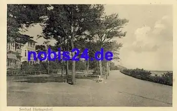 17424 Heringsdorf Strandweg *ca.1930