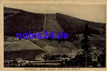 08309 Auersberg mit Wildental   *ca.1915