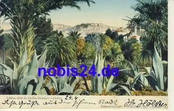 Lissabon Botanischer Garten PORTUGAL o 1906