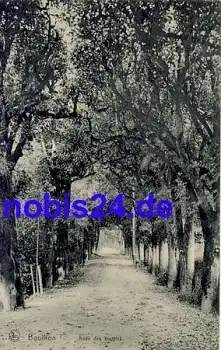 Bouillon Allee des Soupirs *ca.1915